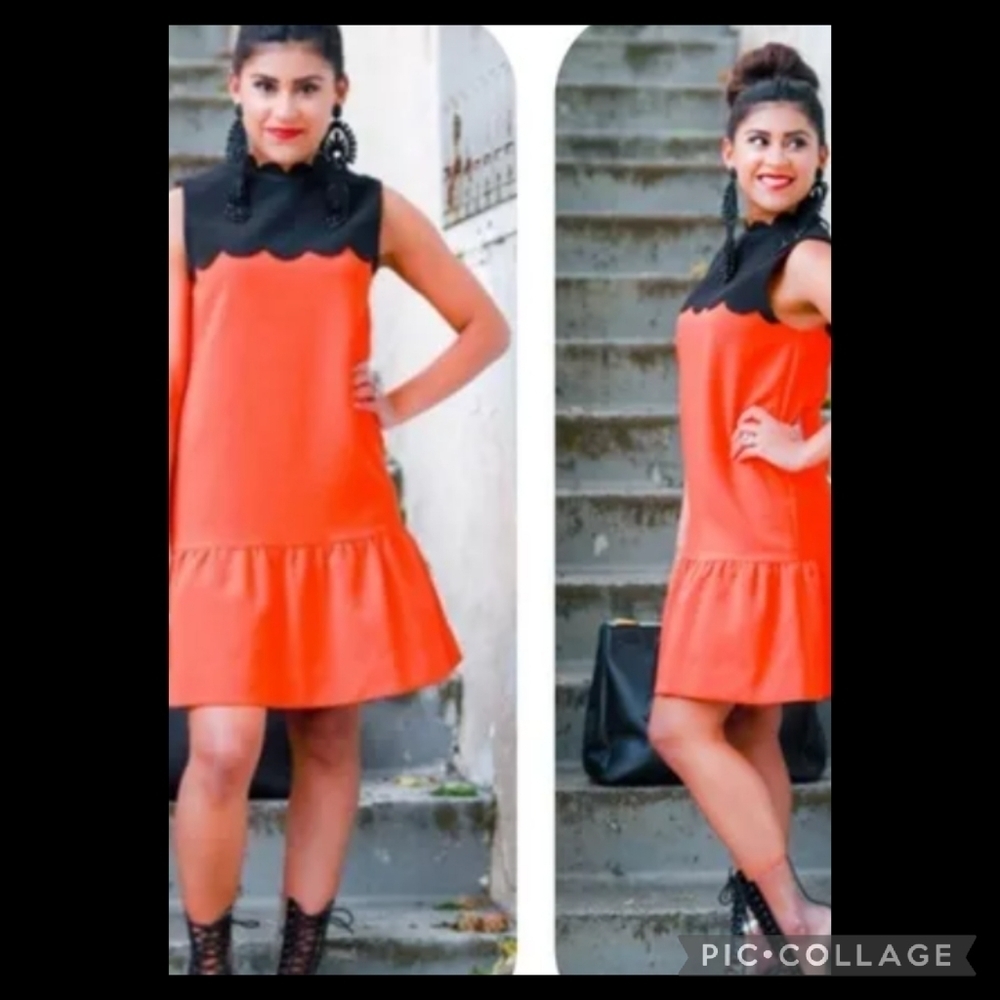 VICTORIA Beckham's Lucy Dress 18